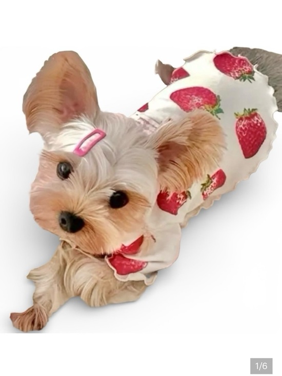 Other - SOLD - STRAWBERRY PRINT SLEEVELESS PULLOVER DOG HI-LOW TOP